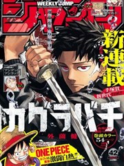 魔法少女小圆动漫 漫画衍生版本档案封面